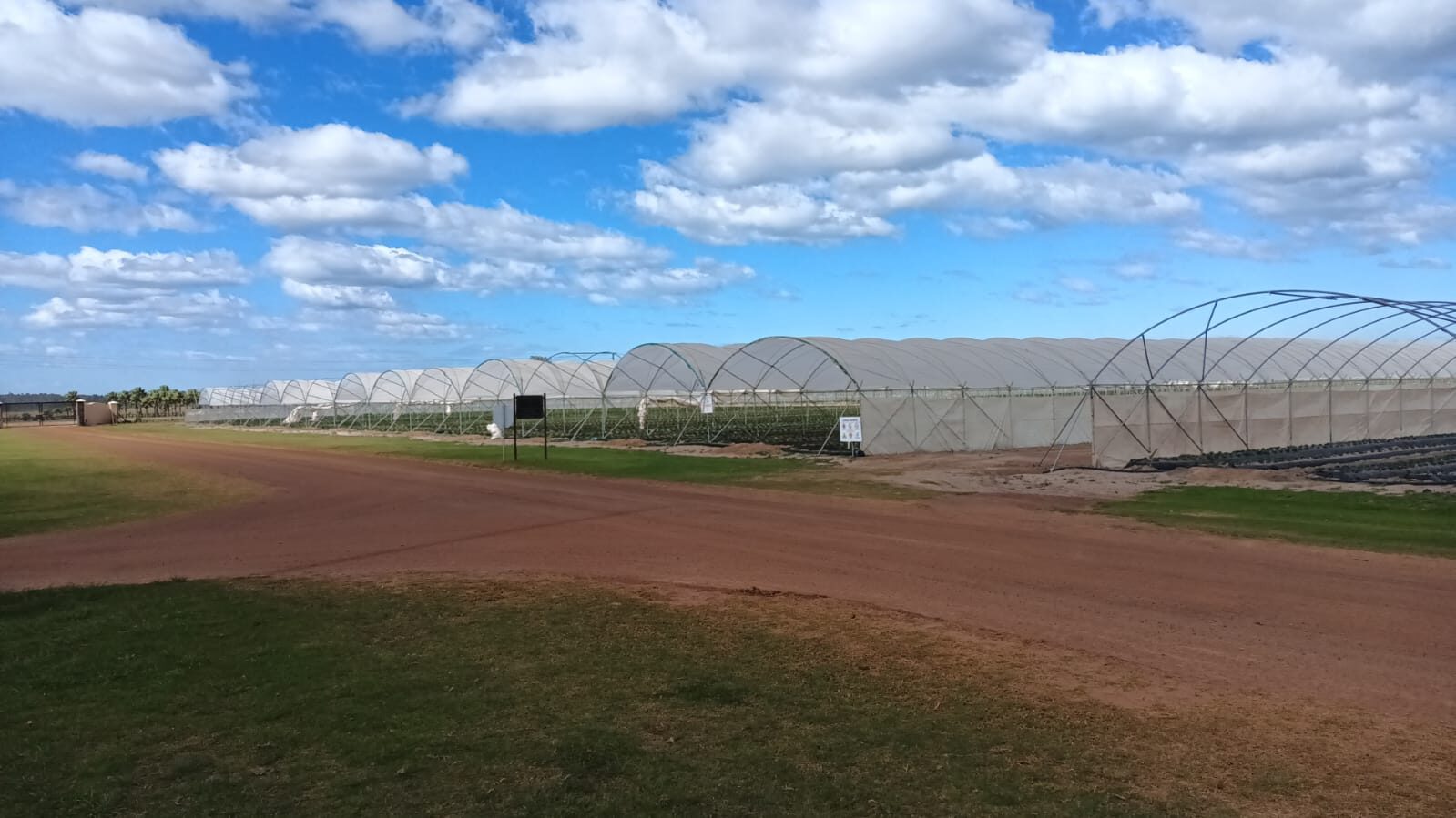 Karma Farms wide shot — Vento tunnel installation, South Africa